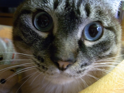 ジャンくん