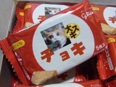 きなこさんからのプレゼント12