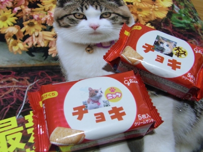 きなこさんからのプレゼント15