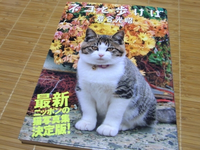 きなこさんからのプレゼント21