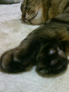 080224_1320~01.JPG