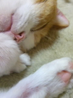 080224_1436~01.JPG