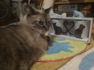ジャンと黒猫マグカップ03