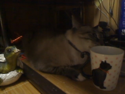 ジャンと黒猫マグカップ06