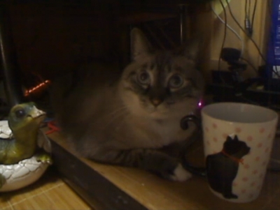 ジャンと黒猫マグカップ07