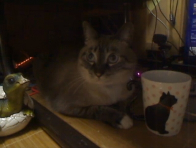ジャンと黒猫マグカップ09