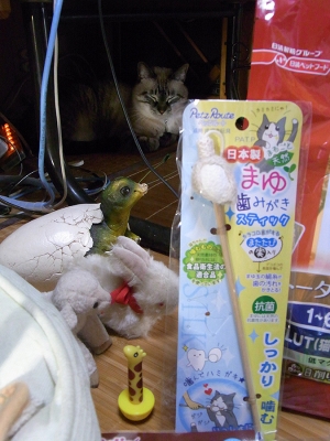 頂いたプレゼント02