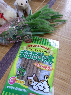 頂いたプレゼント06