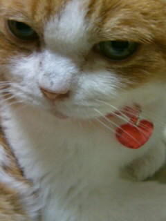 080224_1508~02.JPG