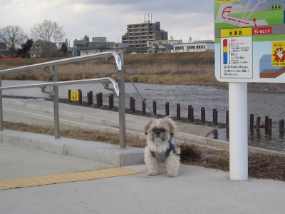 パト君