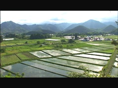 Farmers of Life