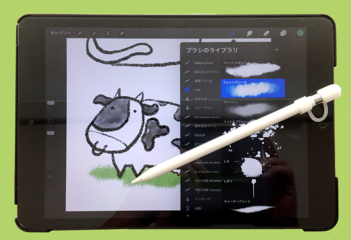 iPad