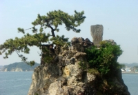 千貫の松