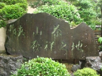 狭山茶