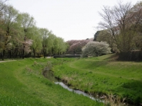 野川帰り