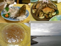 食事