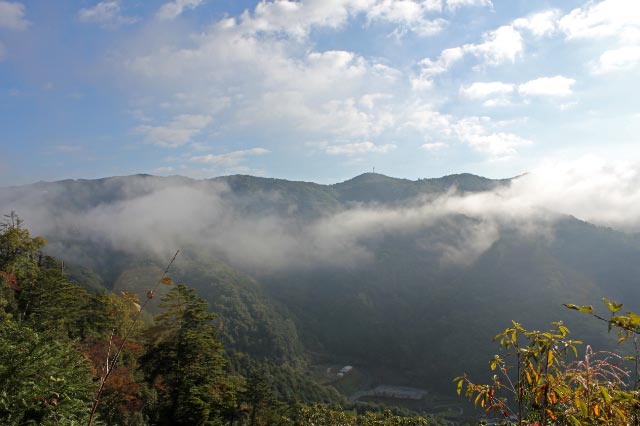 山城の靄-1.jpg