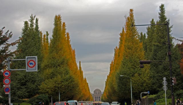 ¿ÀµÜ³°±ñ-1.jpg