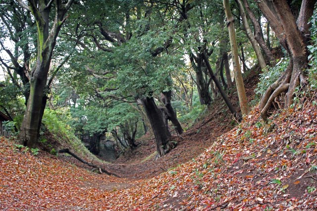 土塁-1.jpg