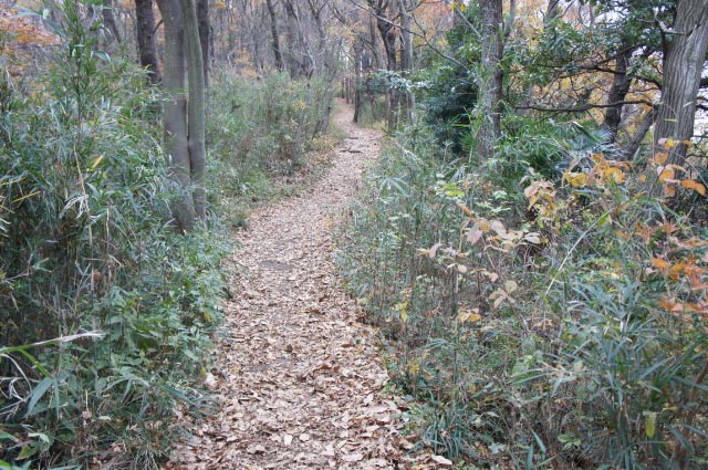 山道-2.jpg