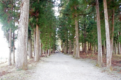 広い道-1.jpg