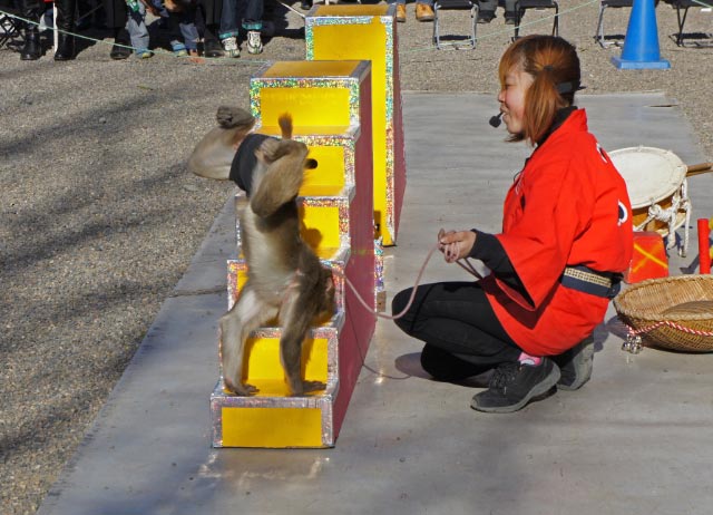 猿-1.jpg