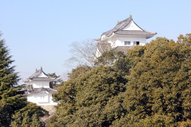 伊賀上野城-1.jpg