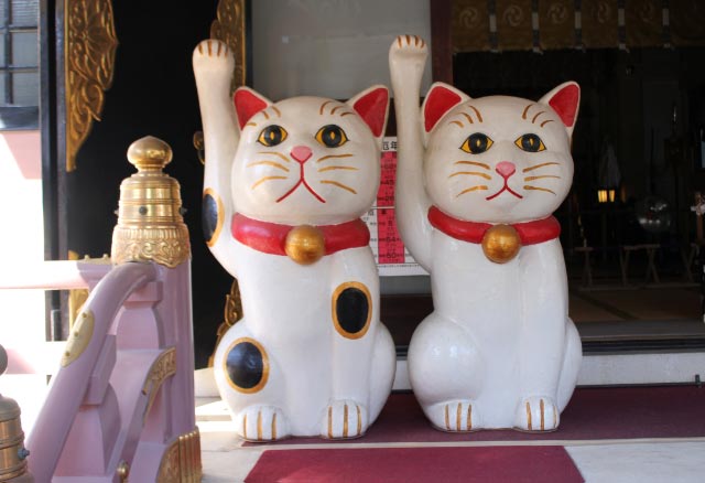 猫-1.jpg