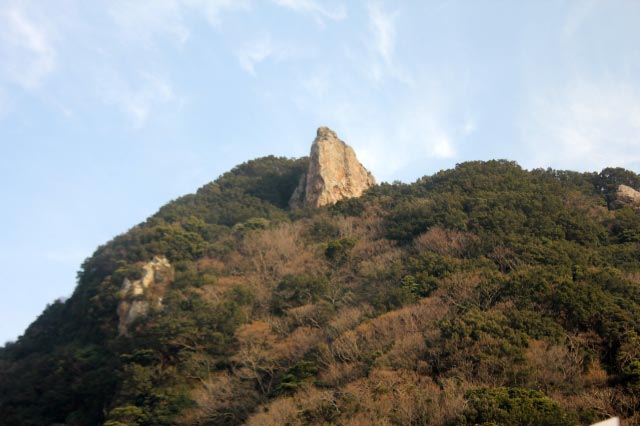 楠-1.jpg