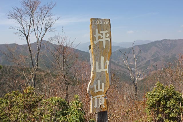 坪山山頂-1.jpg