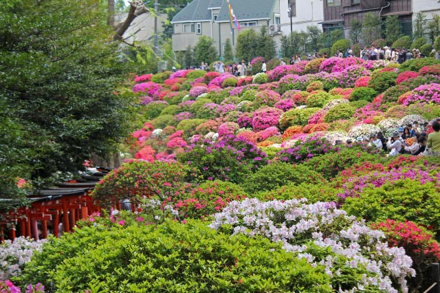 全景-1.jpg