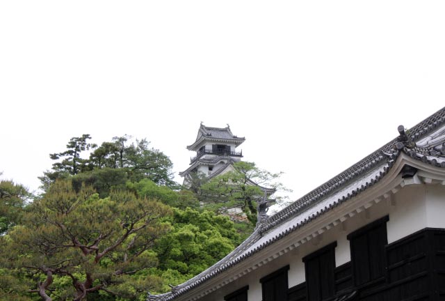 追手門-1.jpg