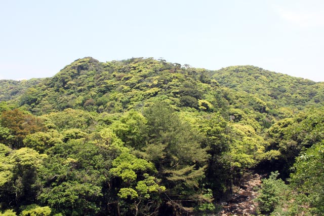 ÎÓ-1.jpg