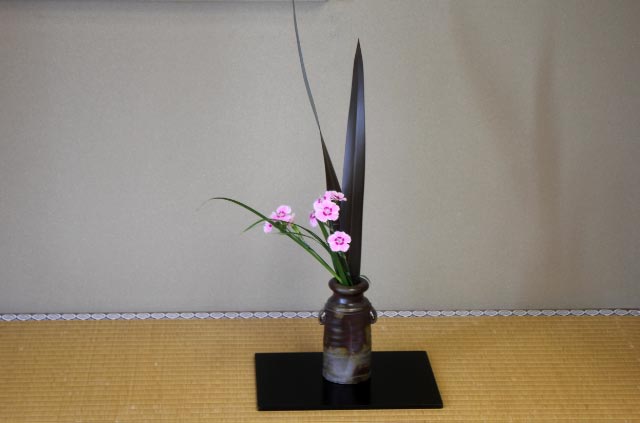 花10.jpg
