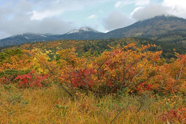 紅葉-1.jpg