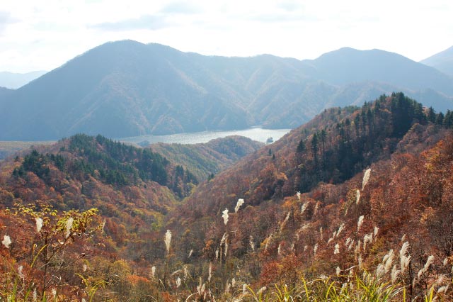 秋元湖-1.jpg