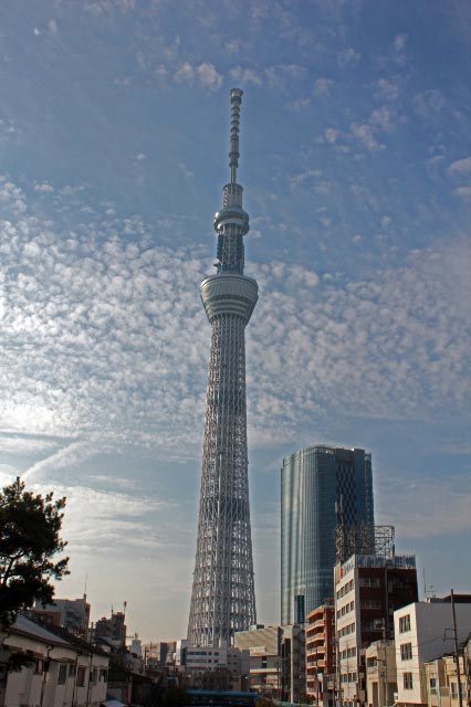 十軒橋から-1.jpg