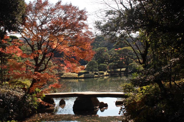 橋-1.jpg