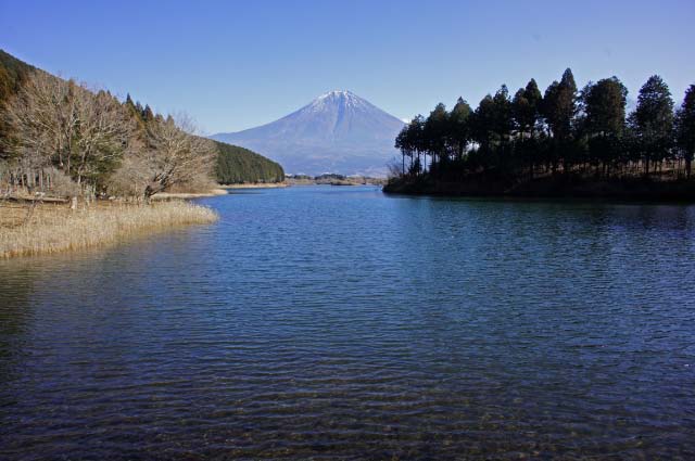 田貫湖ソニー-1.jpg