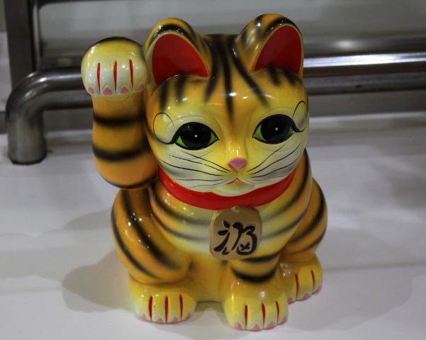 猫2-1.jpg