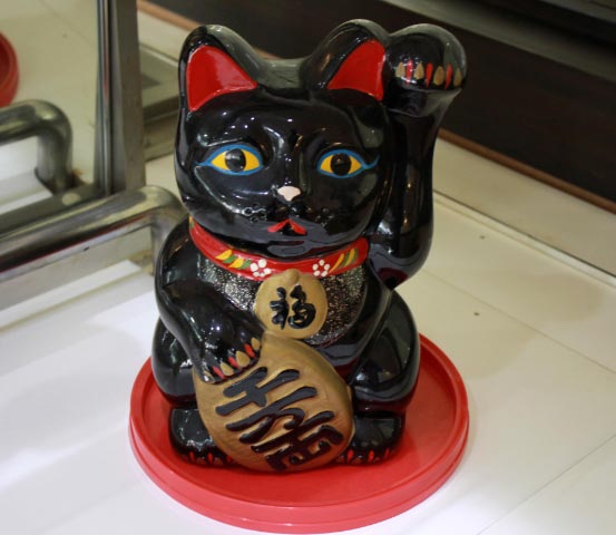 猫4-1.jpg
