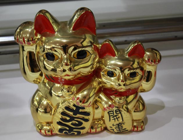 猫3-1.jpg