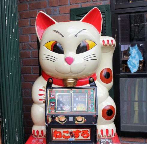 猫1-1.jpg