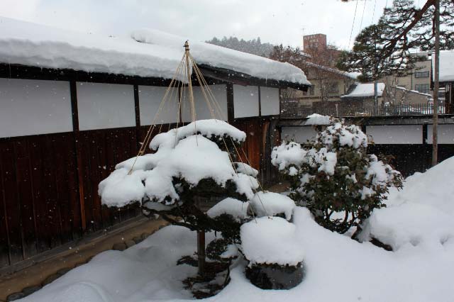 陣屋の庭-1.jpg