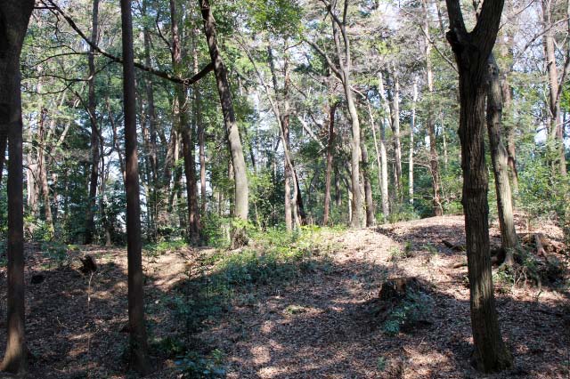 石神井城跡-1.jpg