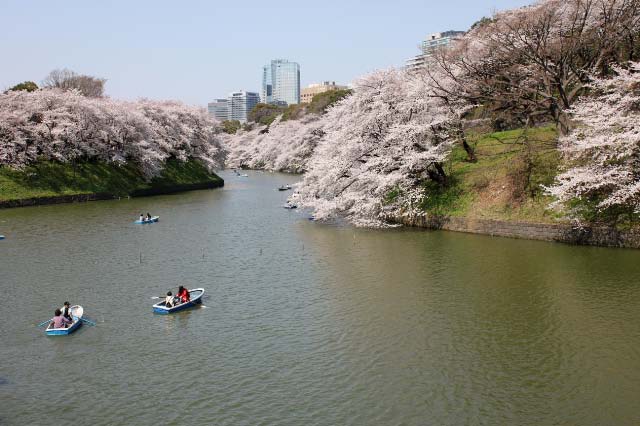 お濠3-1.jpg