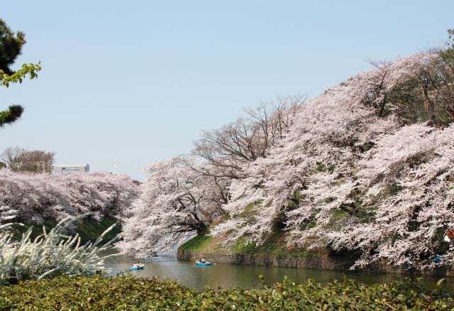 お濠5-1.jpg
