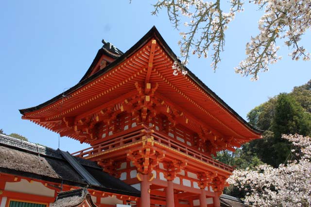 上賀茂神社楼門.jpg