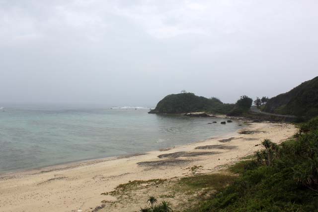 海