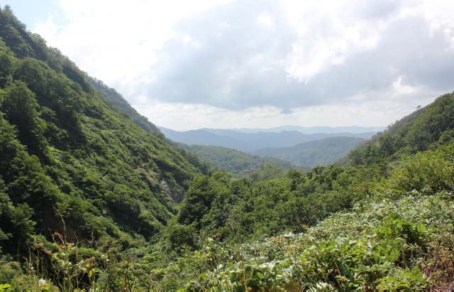 風景